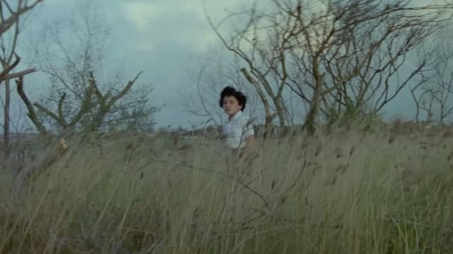 Senggol-Senggolan