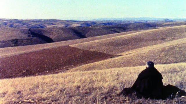 Trás-os-Montes
