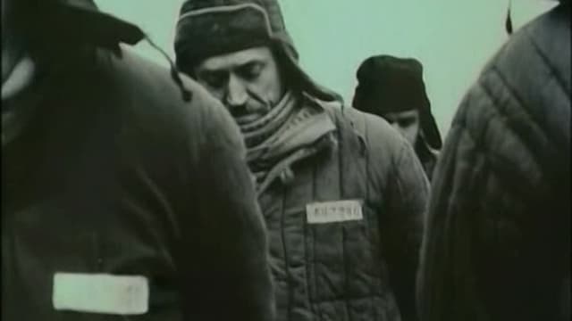 Faithful Ruslan: History of the Guard Dog