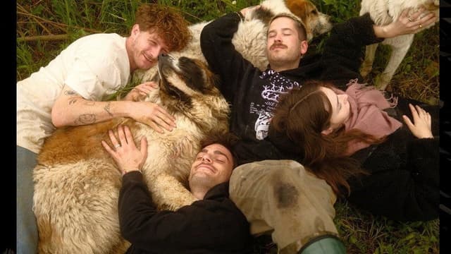 Animal Bridge - Every soul needs a home