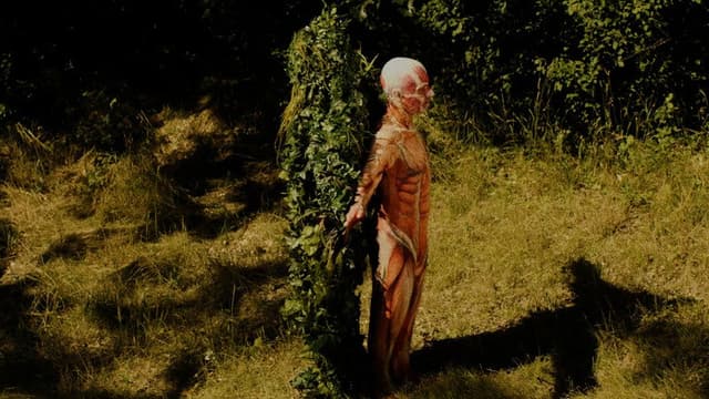 Leaf Man