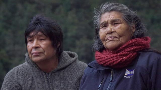 Iniciación Kawesqar de Tomás Tonko Huenucoy