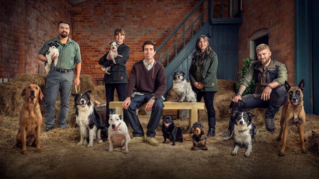 Bad Dog Academy