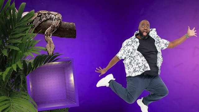 The 100 videos that made the whole world laugh