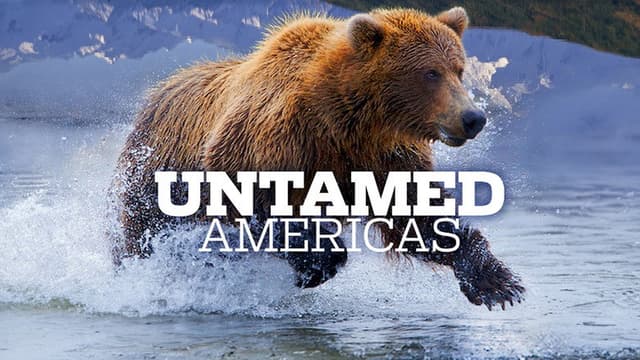 Untamed Americas