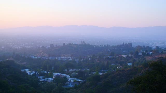 California Schemin'