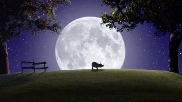 The Werepig