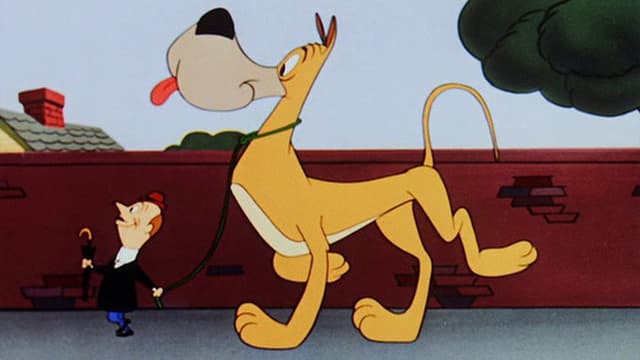Dig That Dog