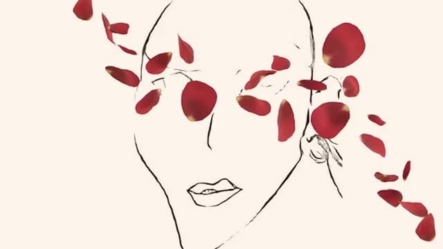 Dreams in Translation