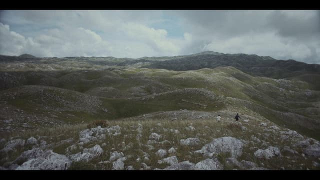 Largohen Dallëndyshet