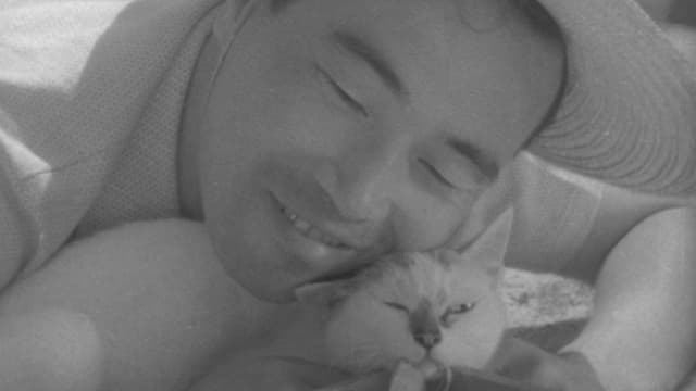 Shozo, a Cat and Two Women