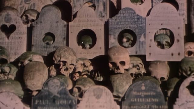 Faces of Death II