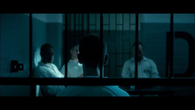 Animus