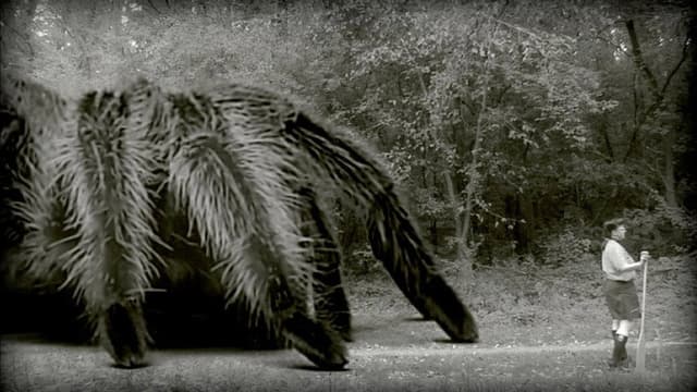 The Giant Spider