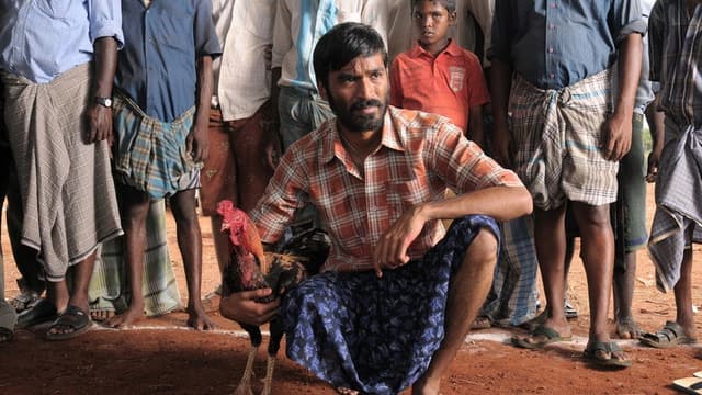 Aadukalam