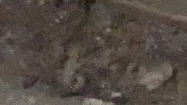 The Noise I Keep