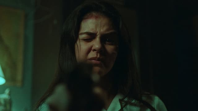 The Woman and the Gun
