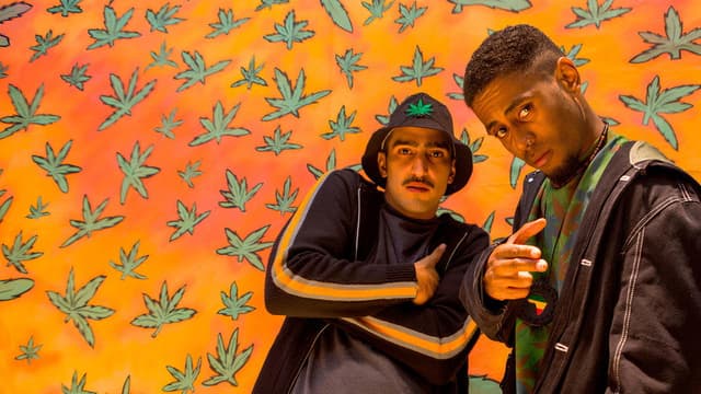 Legalize It!