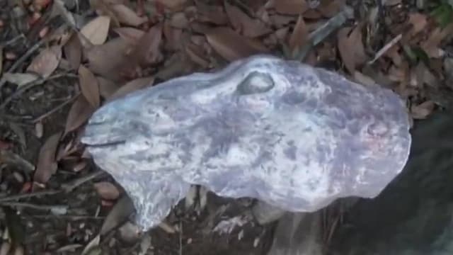 Posted Psychic File: Cursed Dream
