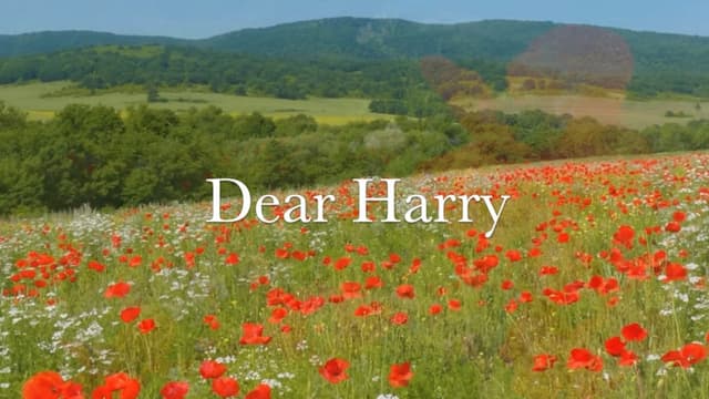 Dear Harry