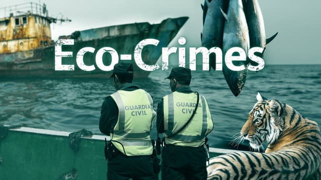 Eco-Crimes