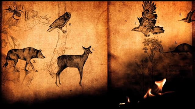 Jónsi - Go Live