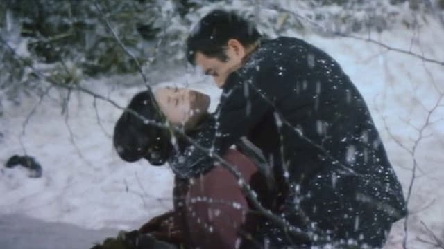 Shroud of Snow