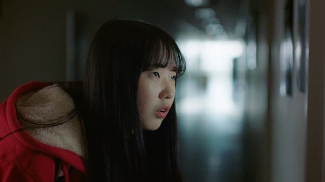 Bizarre Research of A High School Girl