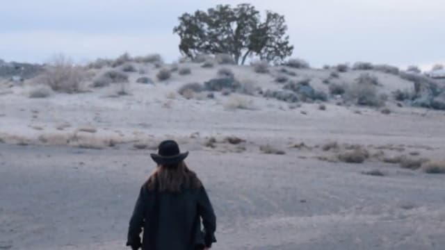 Man in the Mesa