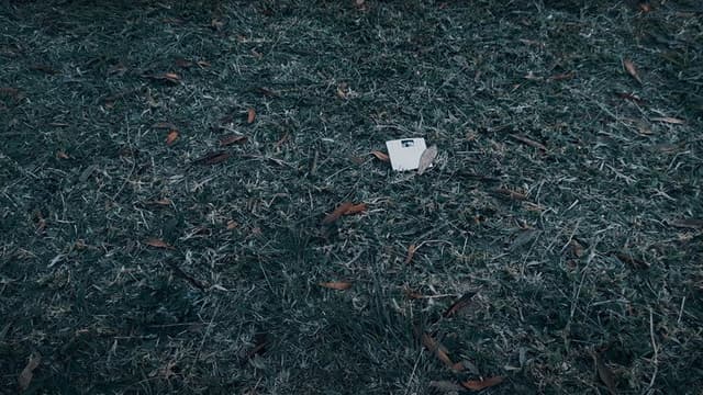 The Ticket