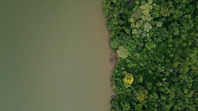 DAMS AMONG US