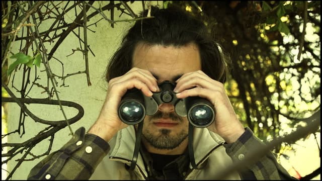 The Birdwatcher
