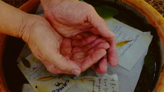 A garden of words