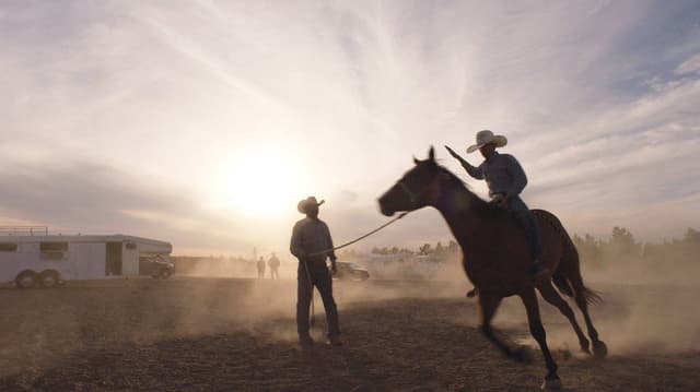 The Cowboy