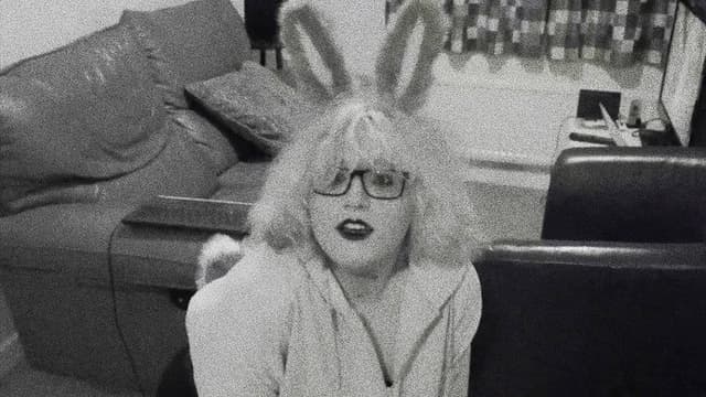 Pet Bunny