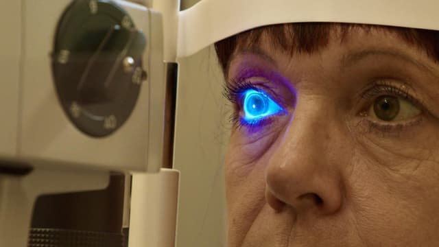 Das Auge - Forschung sehen