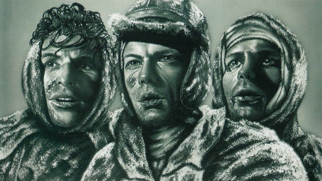 Lettres de Stalingrad