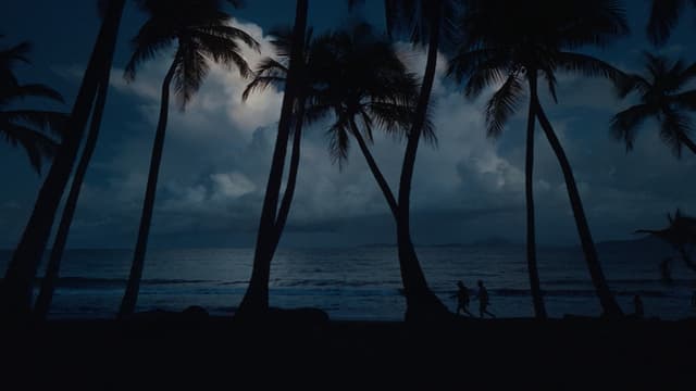 Fòs - Chronicle of Guadeloupean Fencing