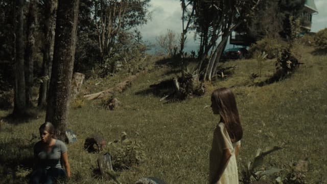Mi Memoria de Ellos