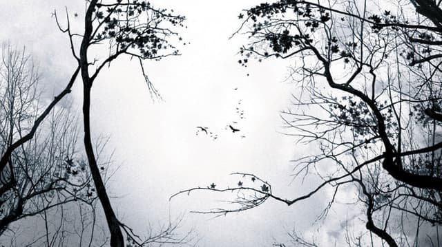 Premonition