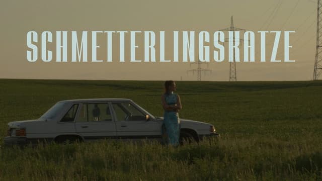 Schmetterlingskatze