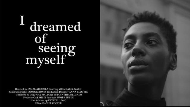 I Dreamed of Seeing Myself