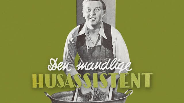 Den mandlige husassistent