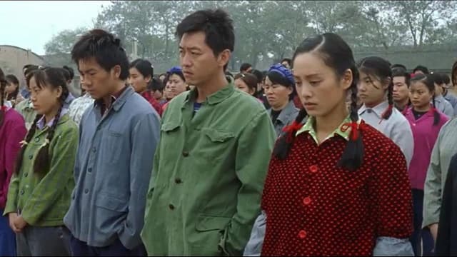 Cotton Fleece
