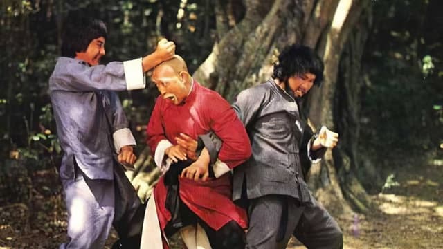 An Old Kung Fu Master