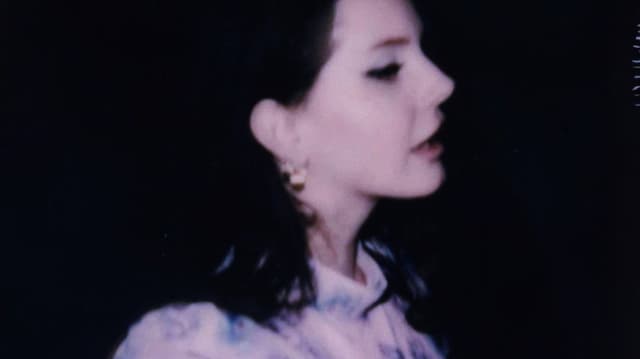 Lana Del Rey - MITA FESTIVAL