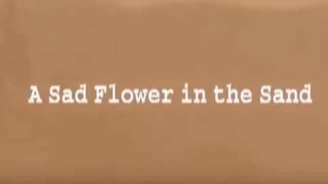 A Sad Flower in the Sand
