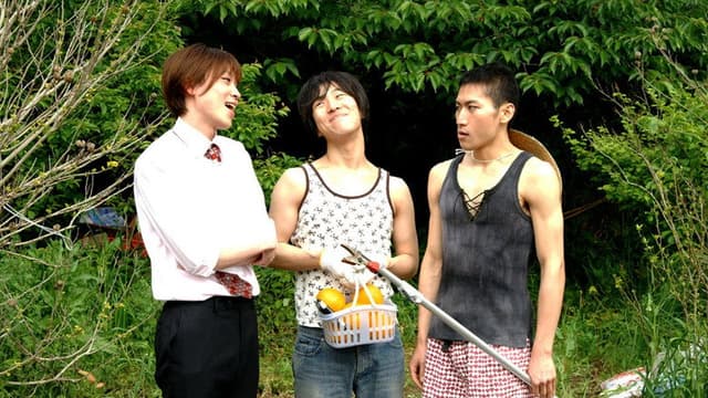 The Boys of Love Beach