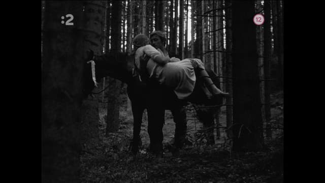 Three Chestnut Horses