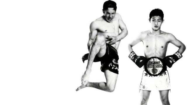 K-1 WORLD GP 2015: Survival Wars